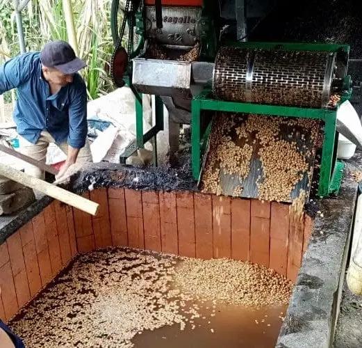 Colombian Solano - Coffee Roast Lab