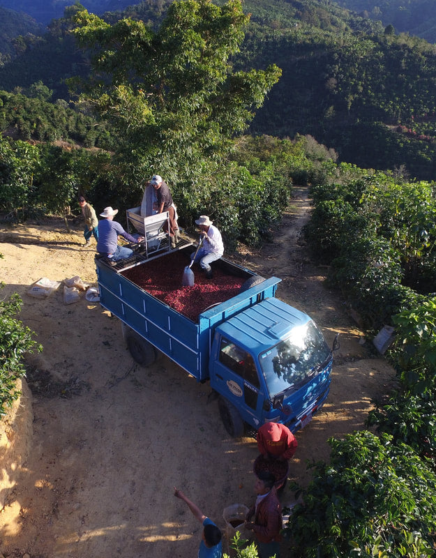 Costa Rica Brisa - Coffee Roast Lab