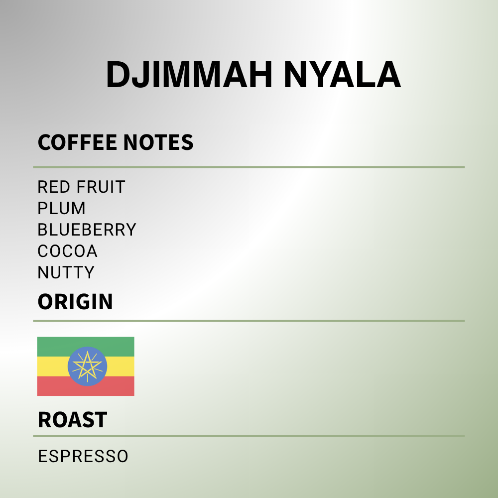 Ethiopian Djimmah Nyala - Coffee Roast Lab