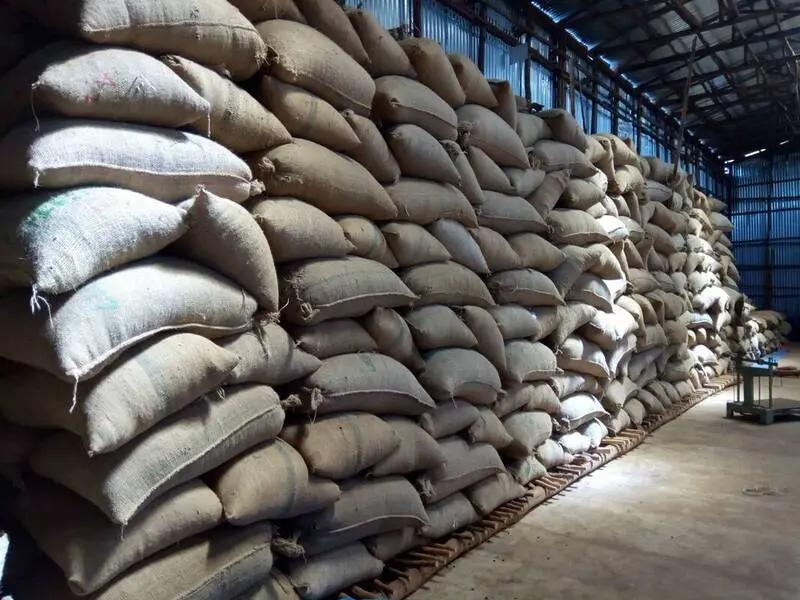 Ethiopian Lekempti Horizon - Coffee Roast Lab