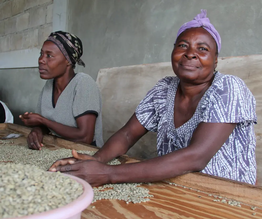 Haitian Soleil - Coffee Roast Lab