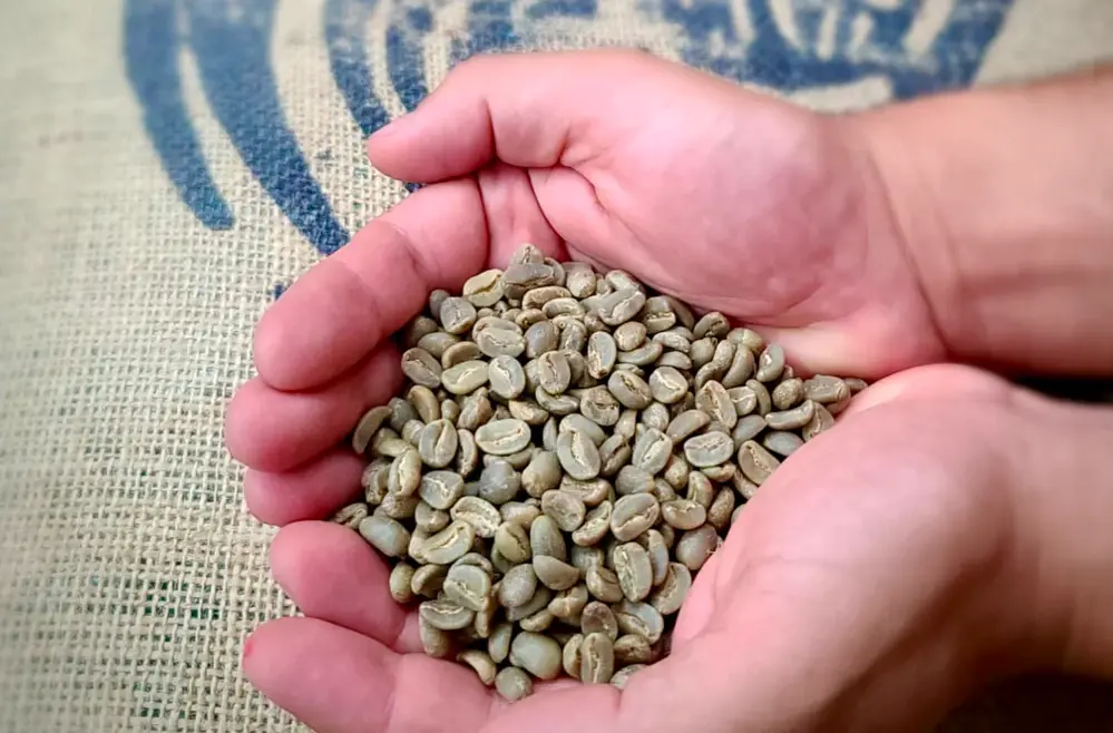 Haitian Soleil - Coffee Roast Lab