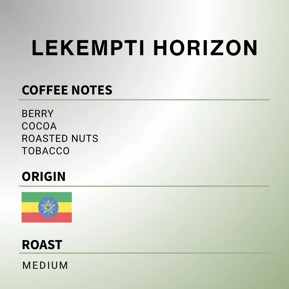 Ethiopian Lekempti Horizon - Coffee Roast Lab