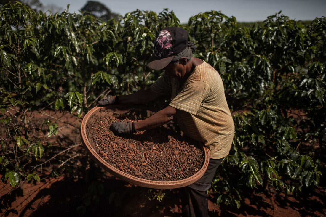 French Roast Blend - Coffee Roast Lab
