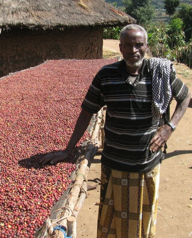 Uganda Robusta - Coffee Roast Lab
