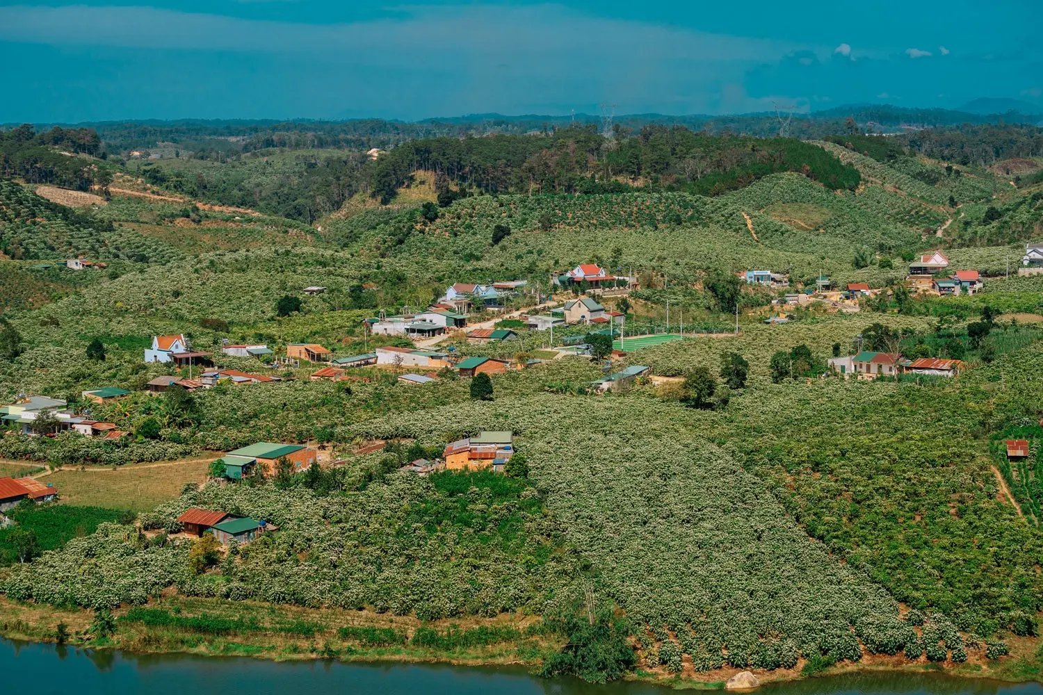 Vietnam Robusta - Coffee Roast Lab