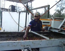 PNG Rainforest Whisper - Coffee Roast Lab