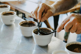 Coffee Tasting Notes Explained: How to Read the Flavours on a Coffee Bag