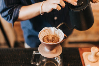 Best Coffee for Beginners