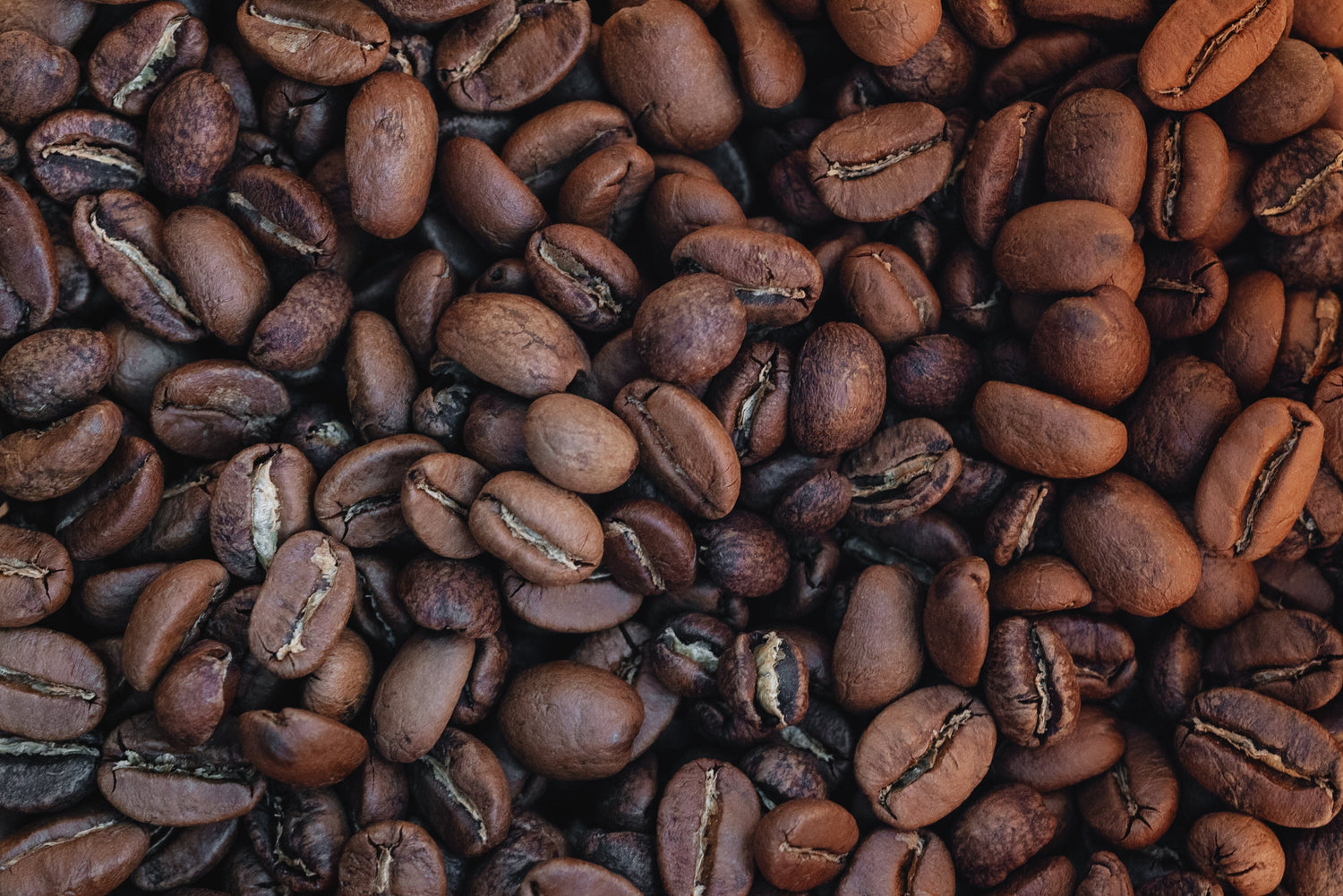 Choose Your Roast - Coffee Roast Lab