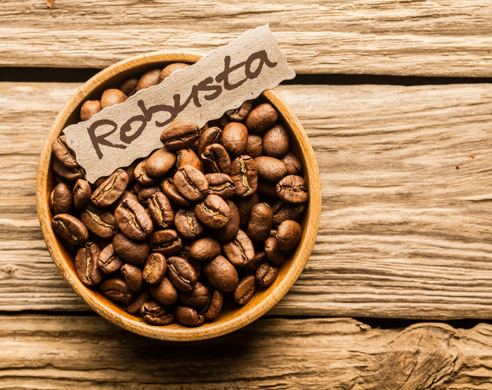 Robusta coffee beans in a bowl representing bold high-caffeine coffee