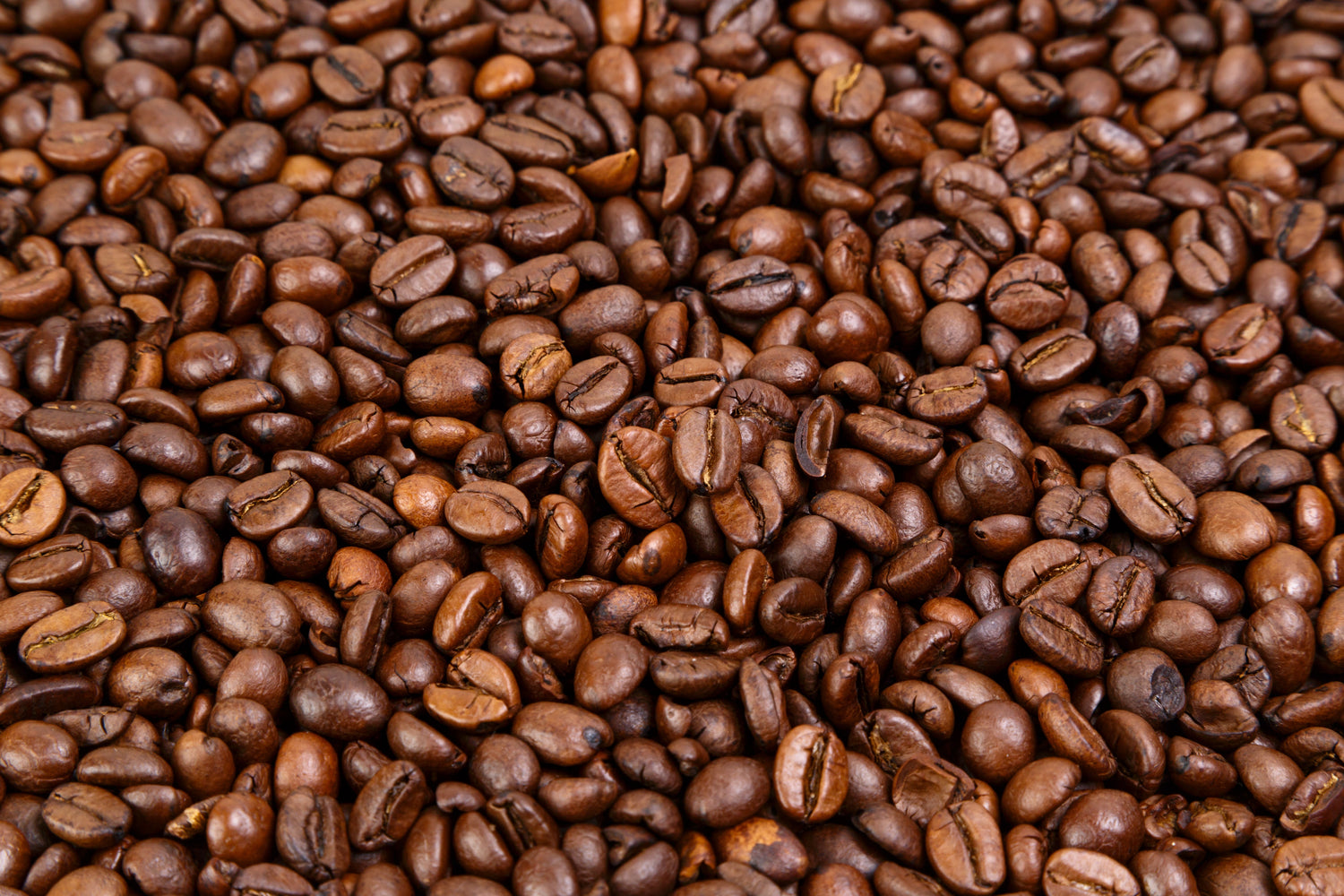 Medium Roast - Coffee Roast Lab