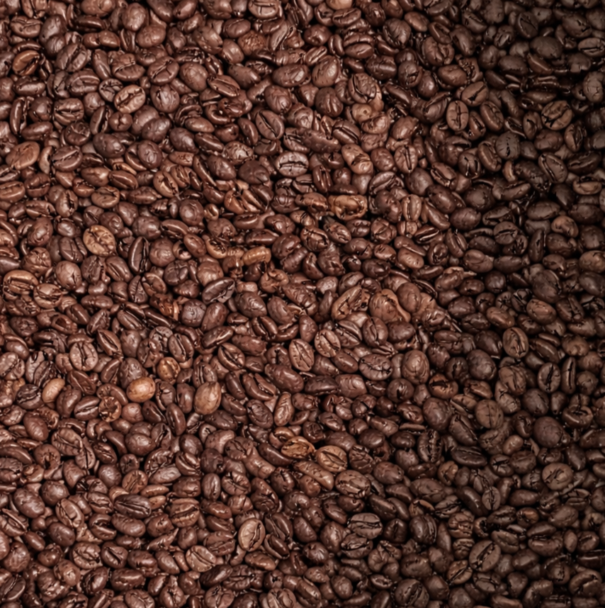 Approachable Specialty Coffee