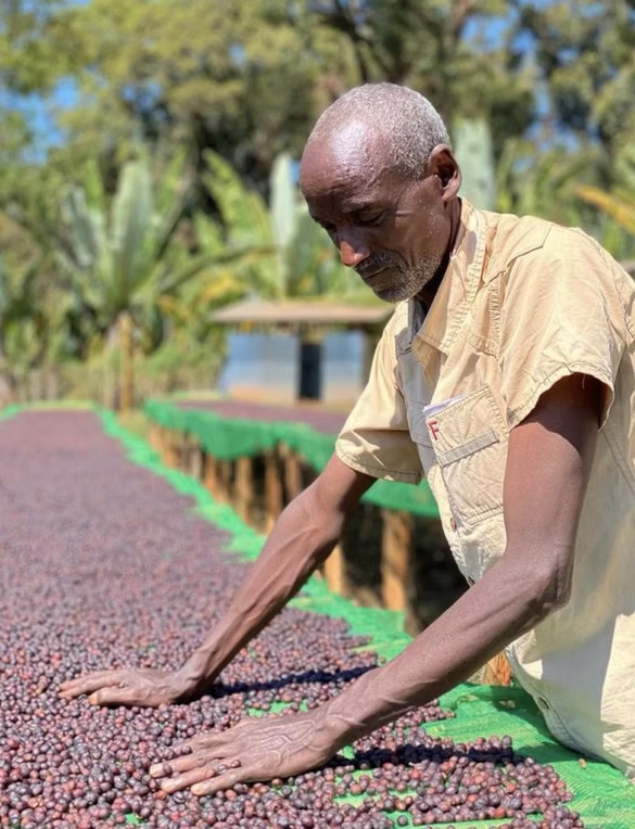Ethiopian Guji Bunna - Coffee Roast Lab