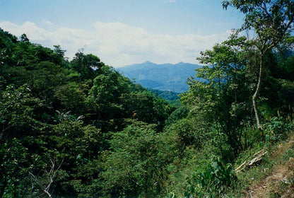 Mexico - Sierra Noir - Coffee Roast Lab