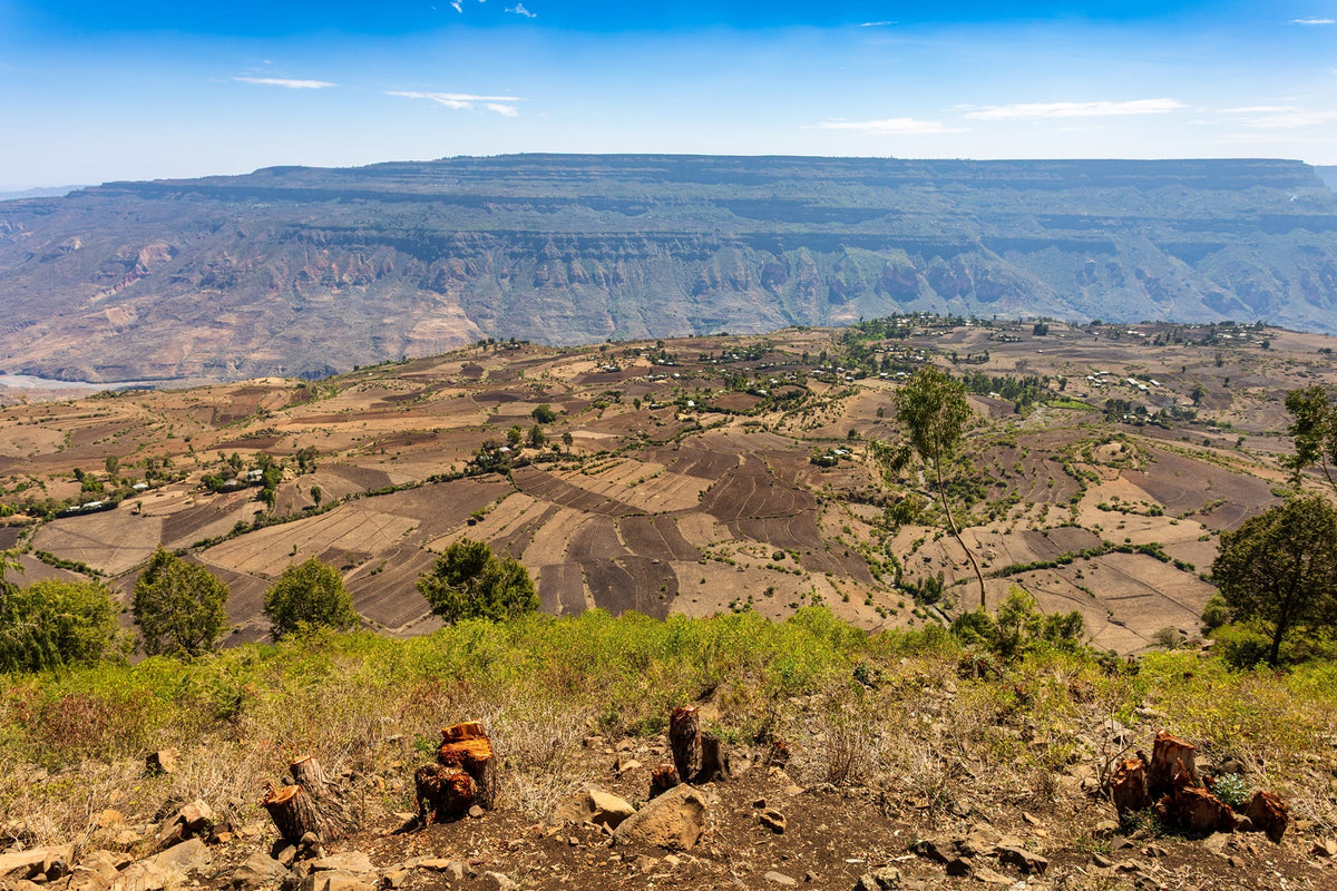 Ethiopia (Oromia)