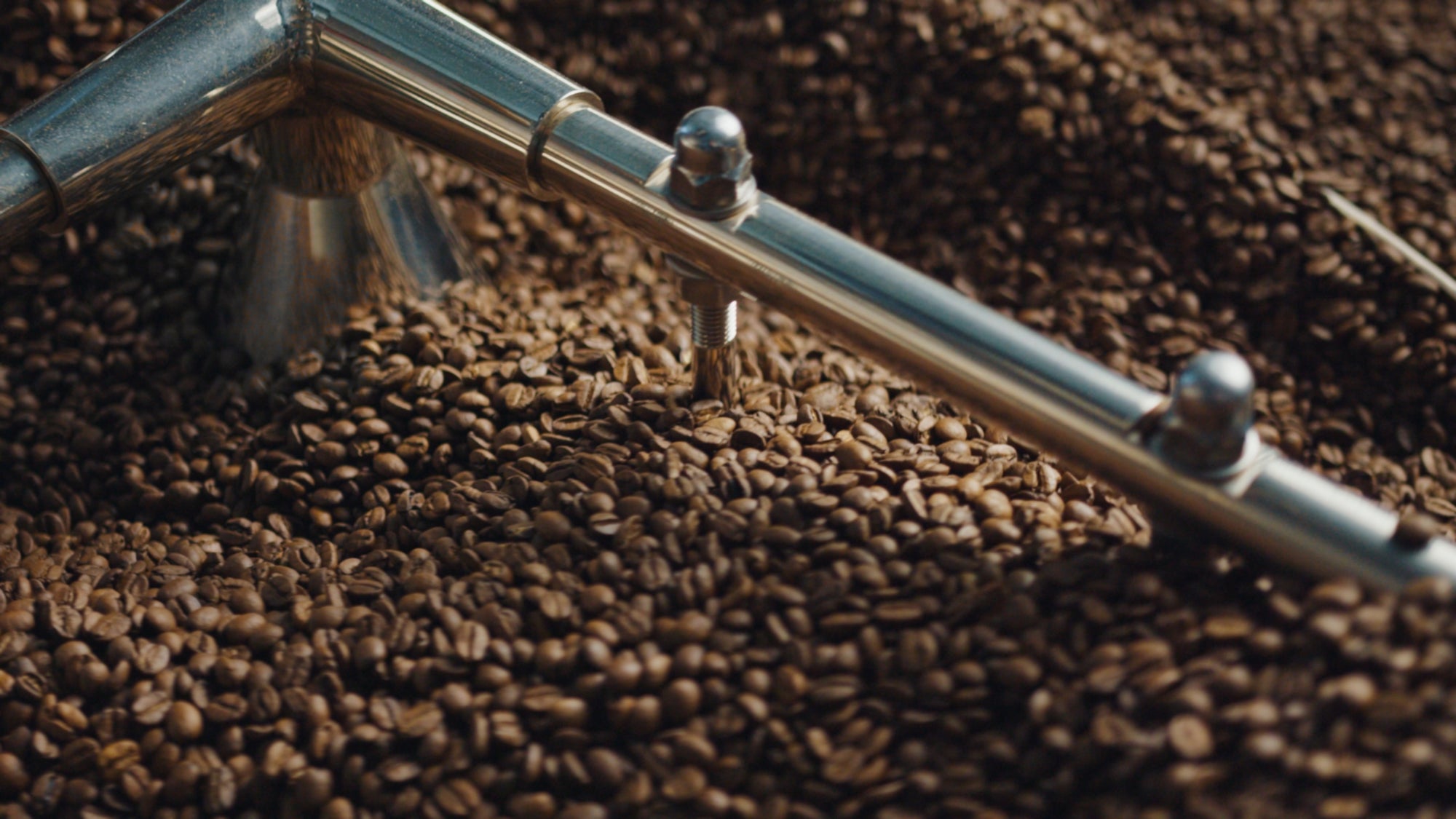 Freshly roasted coffee beans cooling after roasting