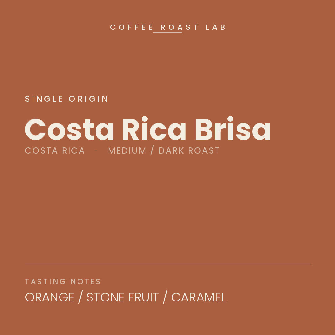 Coffee Roast Lab Costa Rica Brisa coffee — Costa Rica, medium / dark roast — orange, stone fruit, caramel