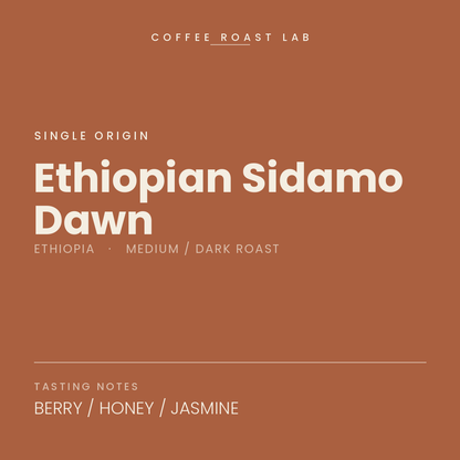Coffee Roast Lab Ethiopian Sidamo Dawn coffee — Ethiopia, medium / dark roast — berry, honey, jasmine
